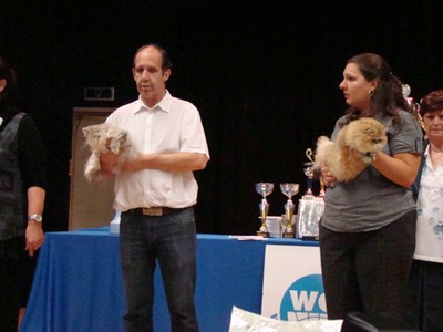 20121021_291 (Expo)